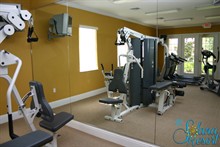 Solana Fitness Suite